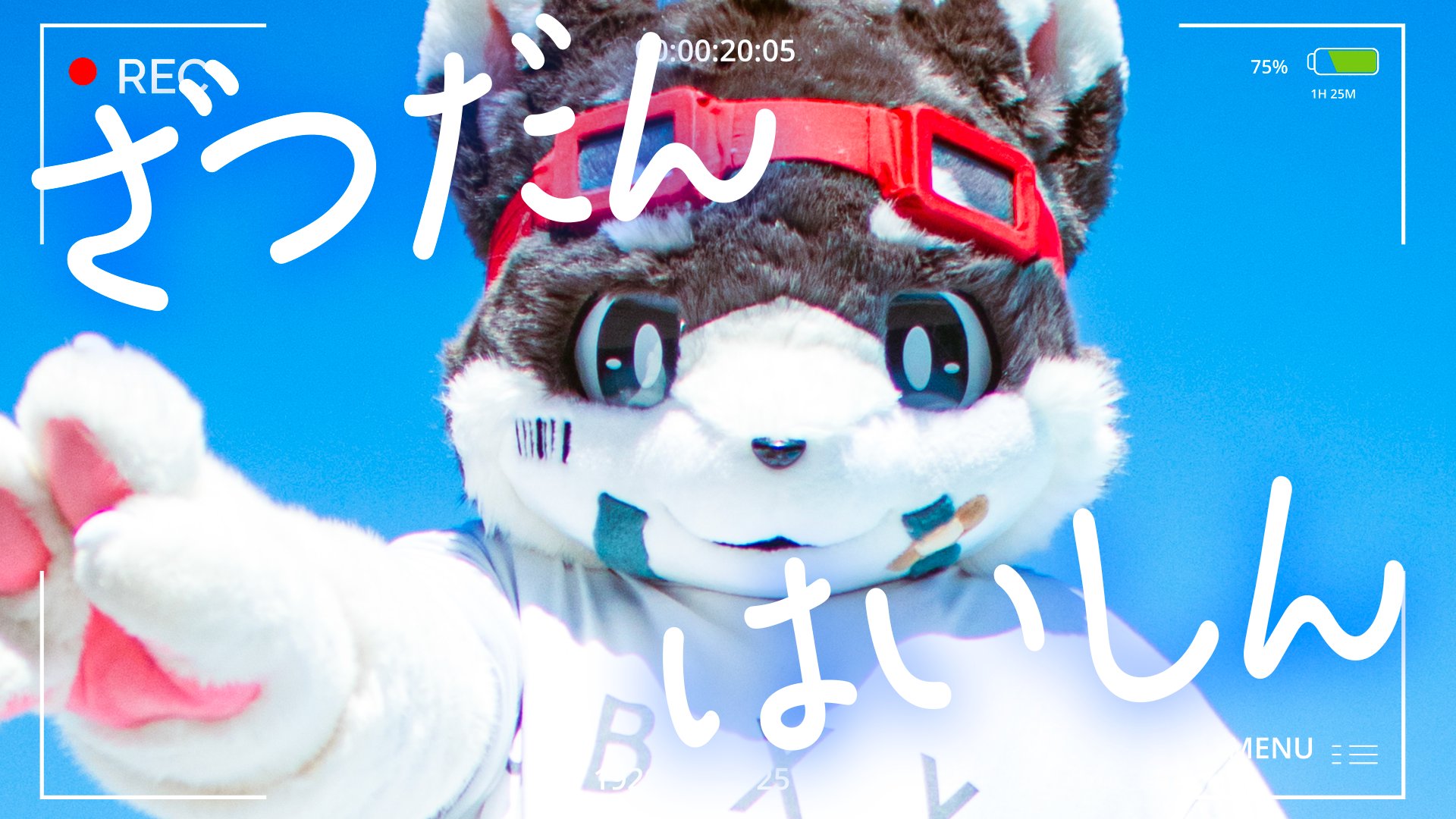 いぬがみ 犬汰🐶 on X: 
