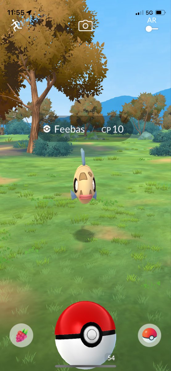 JohnPatrick_101's tweet image. #Feebas  #WaterTypePokemon #PokemonGoAustralia #PokemonGoApp #PokemonGo #Pokemon #CombatPower #FeebasCP10 @PokemonGoNews
