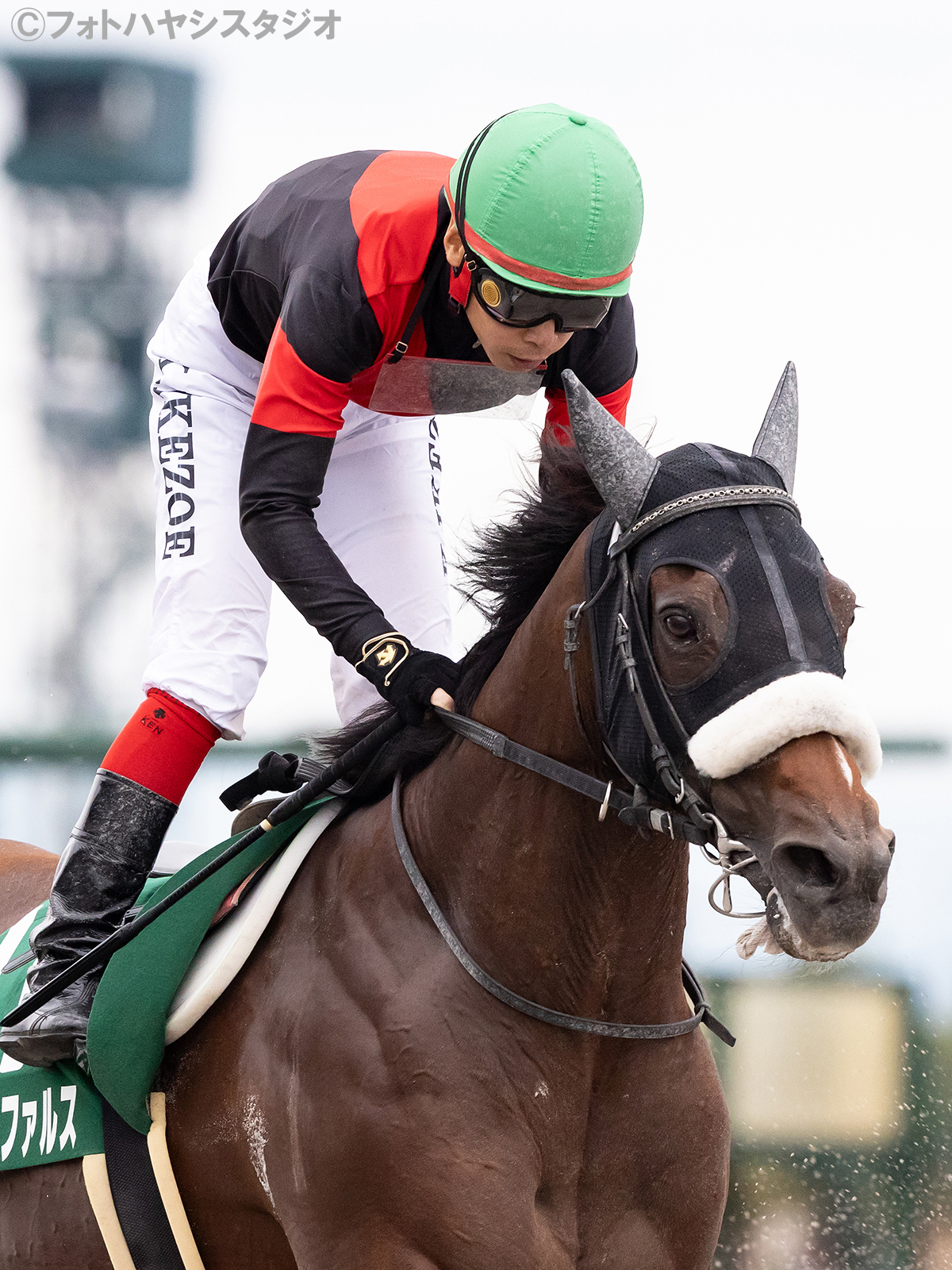 競馬　1999G1レース PHOTO COLLECTION 競馬 1999G1レース PHOTO COLLECTION Photo Hayashi Studio