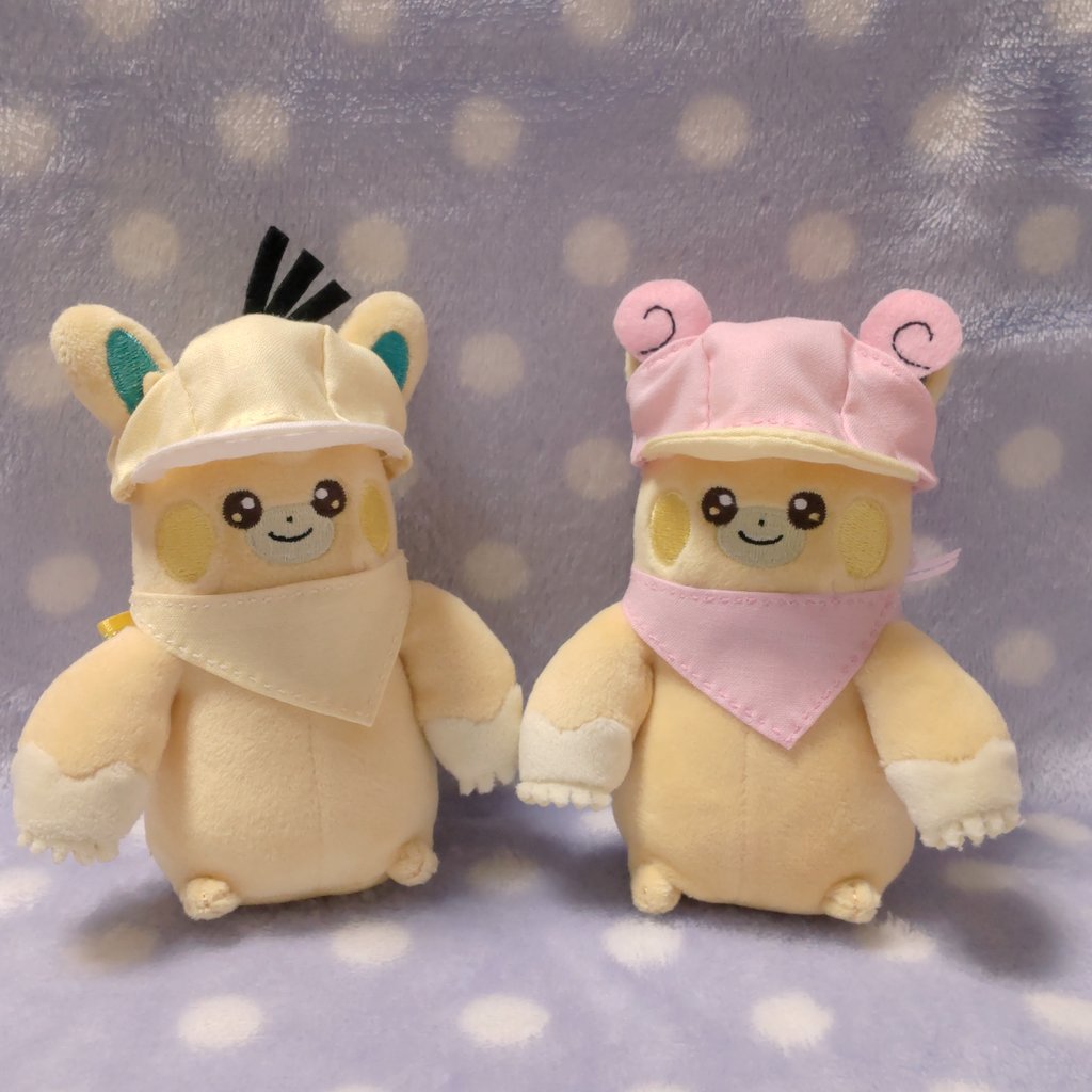 Mimi5_pamo's tweet image. 今日どこに連れていってもらえるか察した2匹
