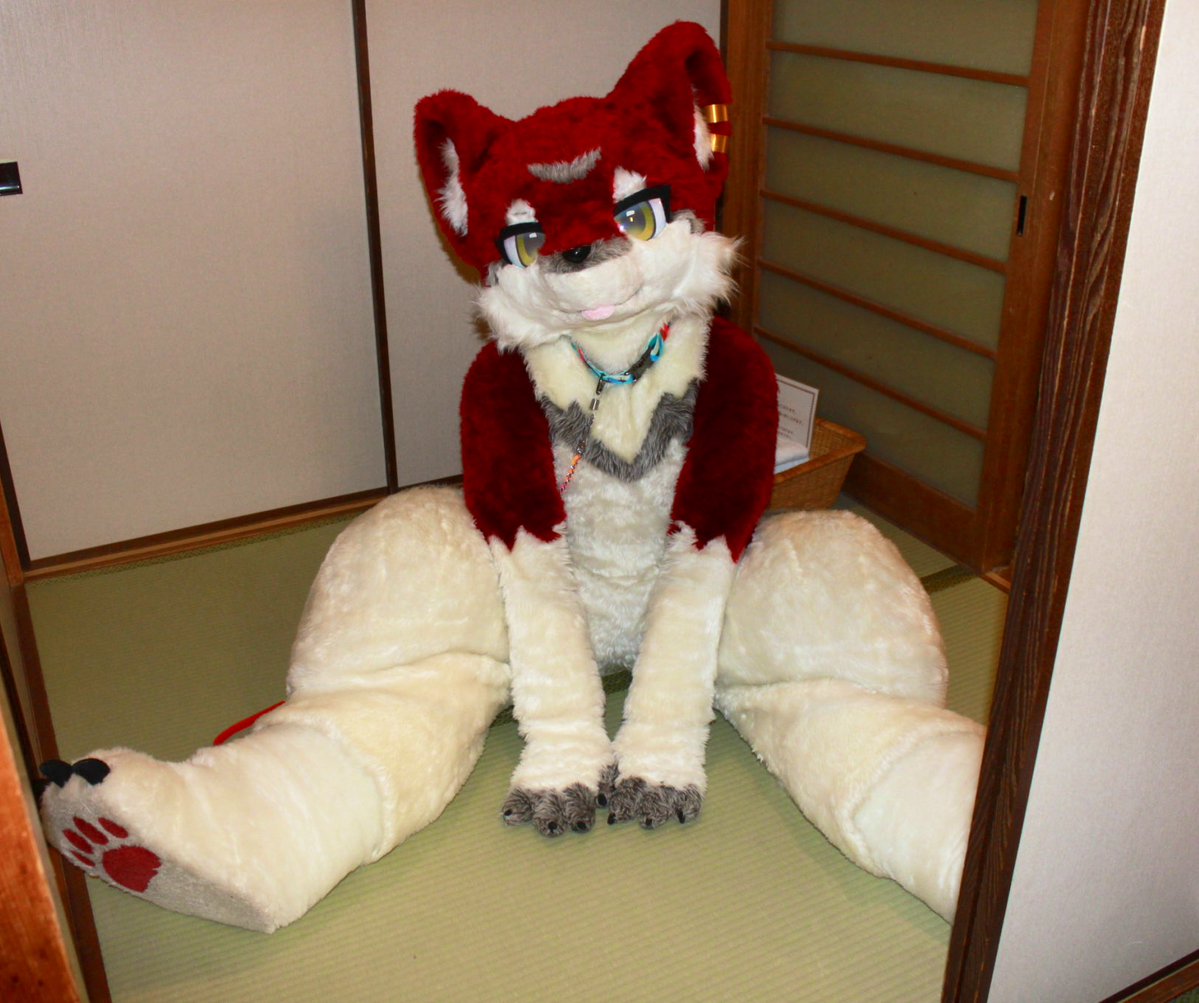 misheta7's tweet image. オオカミ遊びたいガウ✨🐺