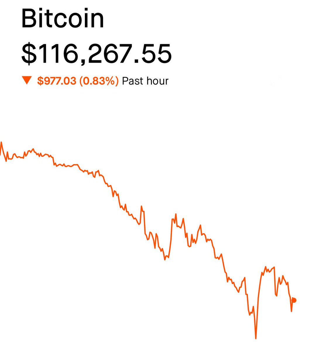 The ₿itcoin Therapist tweet media