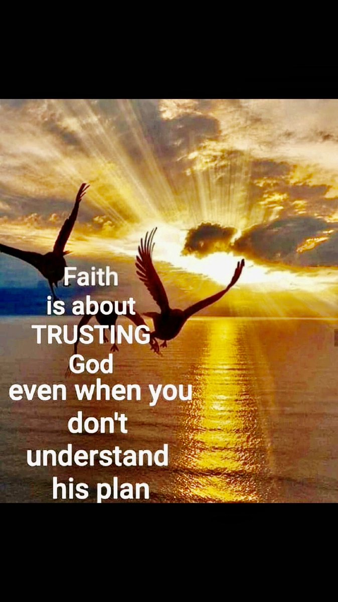 Teresa42254207's tweet image. Ref Isaiah 55:8 For my thoughts are not your thoughts, neither are your ways my ways,saith the Lord.K.J.V.