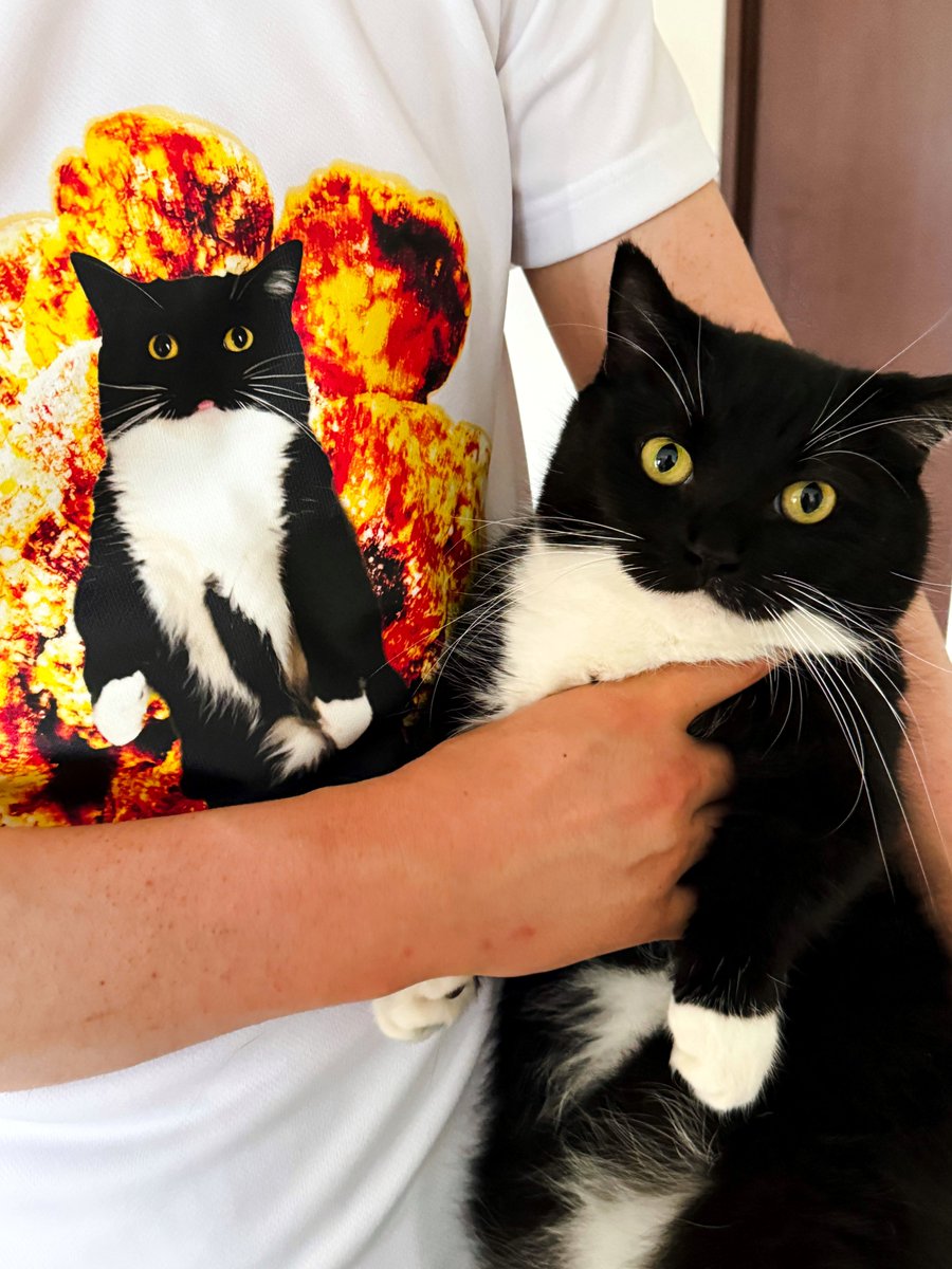 SUZURIのTシャツセール が始まりました🎉 🗓️ 7/25（金） 12:00 ～ 8