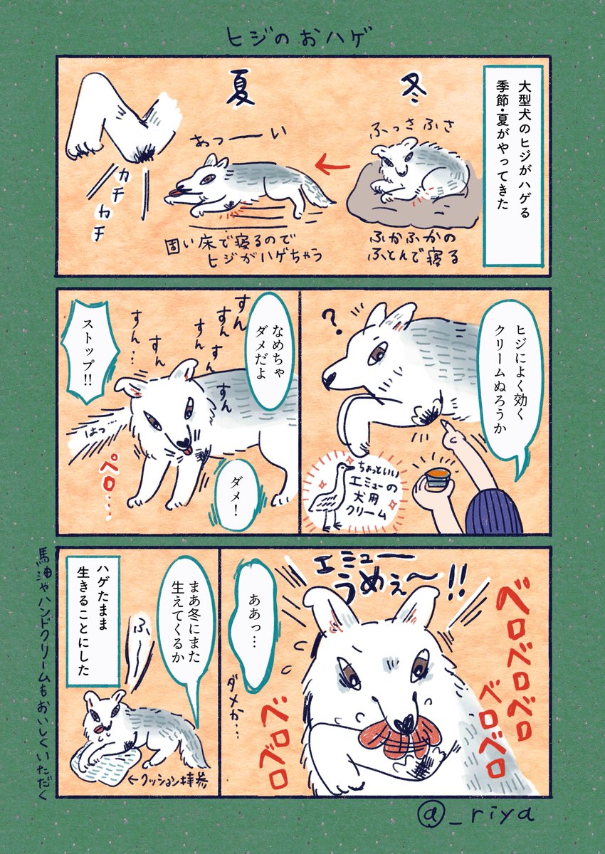 デカい狼犬との日常🐺
「ヒジのおハゲ」
最近は自分で肘の下だけクッションをひくようになりホワホワの細い毛が生えてきたよ