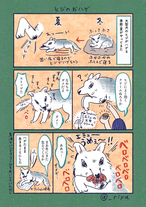 デカい狼犬との日常🐺   

「ヒジのおハゲ」
最近は自分で肘の下だけクッションをひくようになりホワホワの細い毛が生えてきたよ 