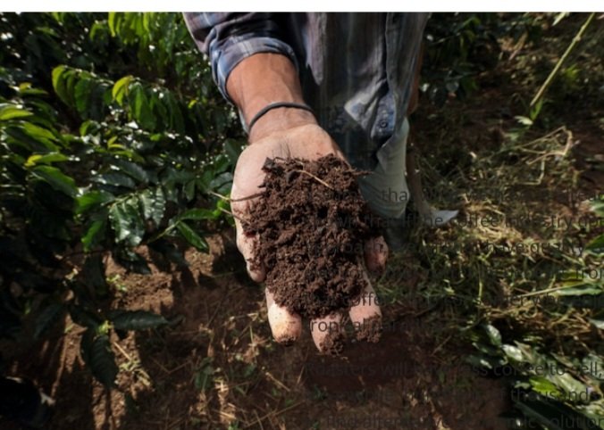 ByarugabaRemi's tweet image. Planning to start a coffee farm?
Begin with professional soil testing.
It helps determine your soil’s pH, nutrient levels, and fertility needs—ensuring a productive and sustainable coffee plantation.
📩 For soil sampling & expert support, reach out to Birara Eco Agribusiness.