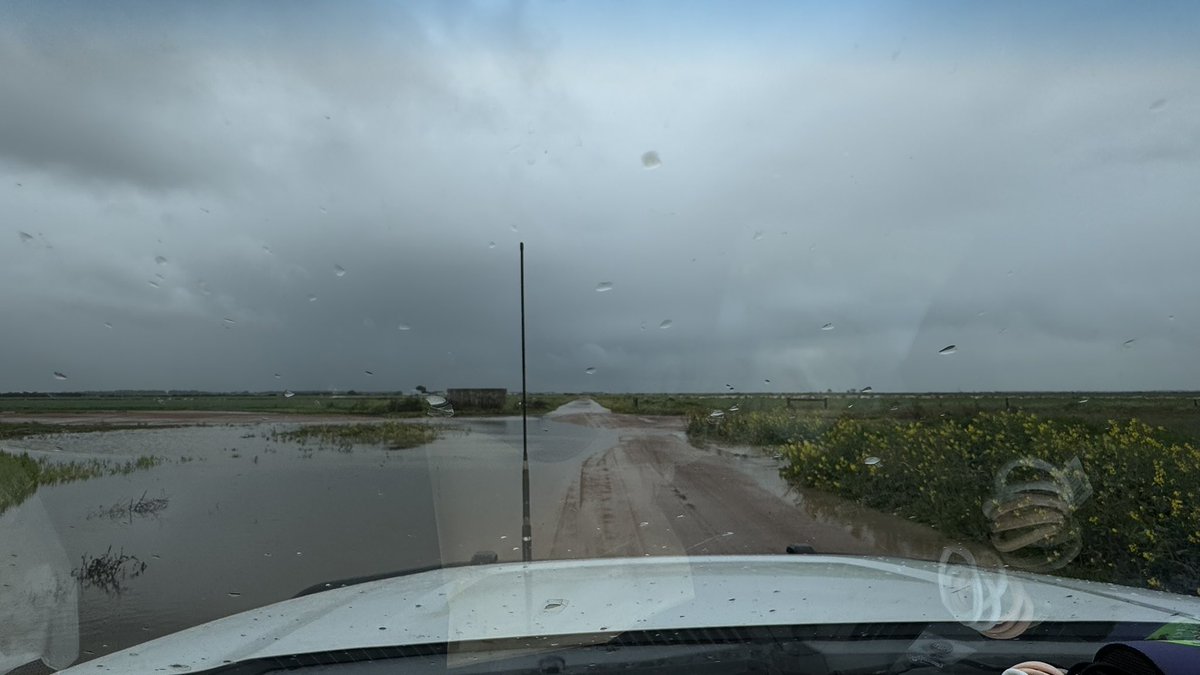 Bit moist round the place after 39mm - escaping to Hopey to sit in a different house, by the fire 😂😂