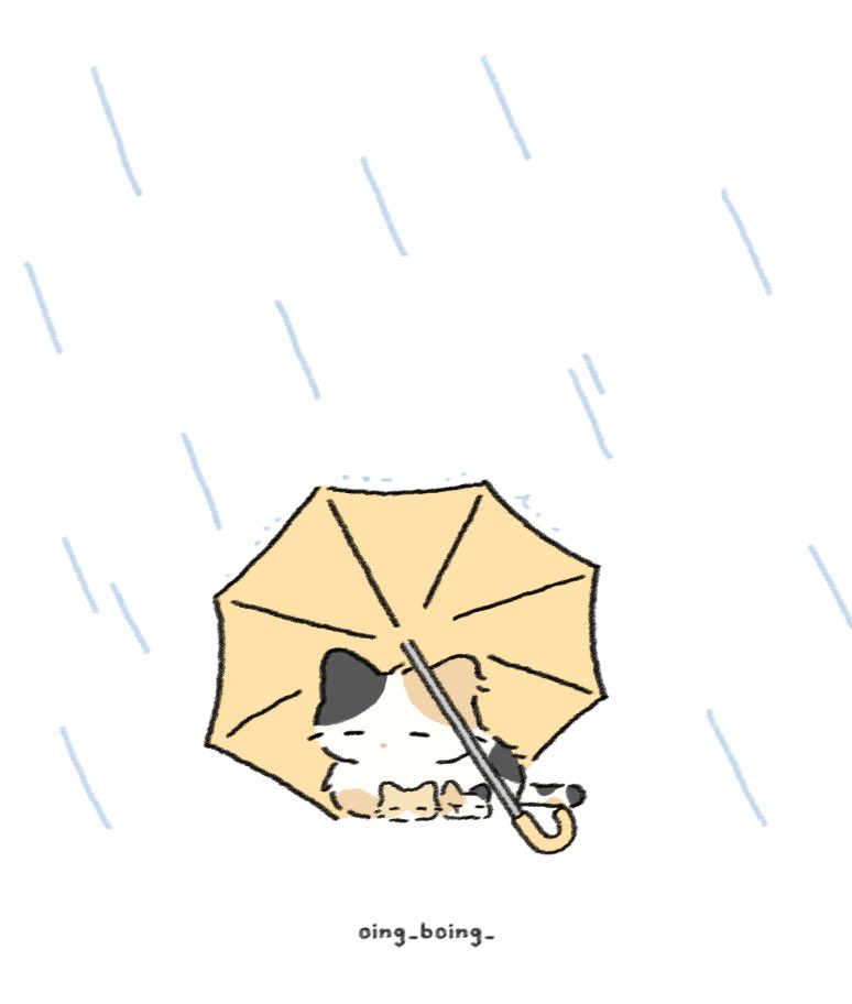 oing_boing_'s tweet image. 🐱🐱🐱☔️