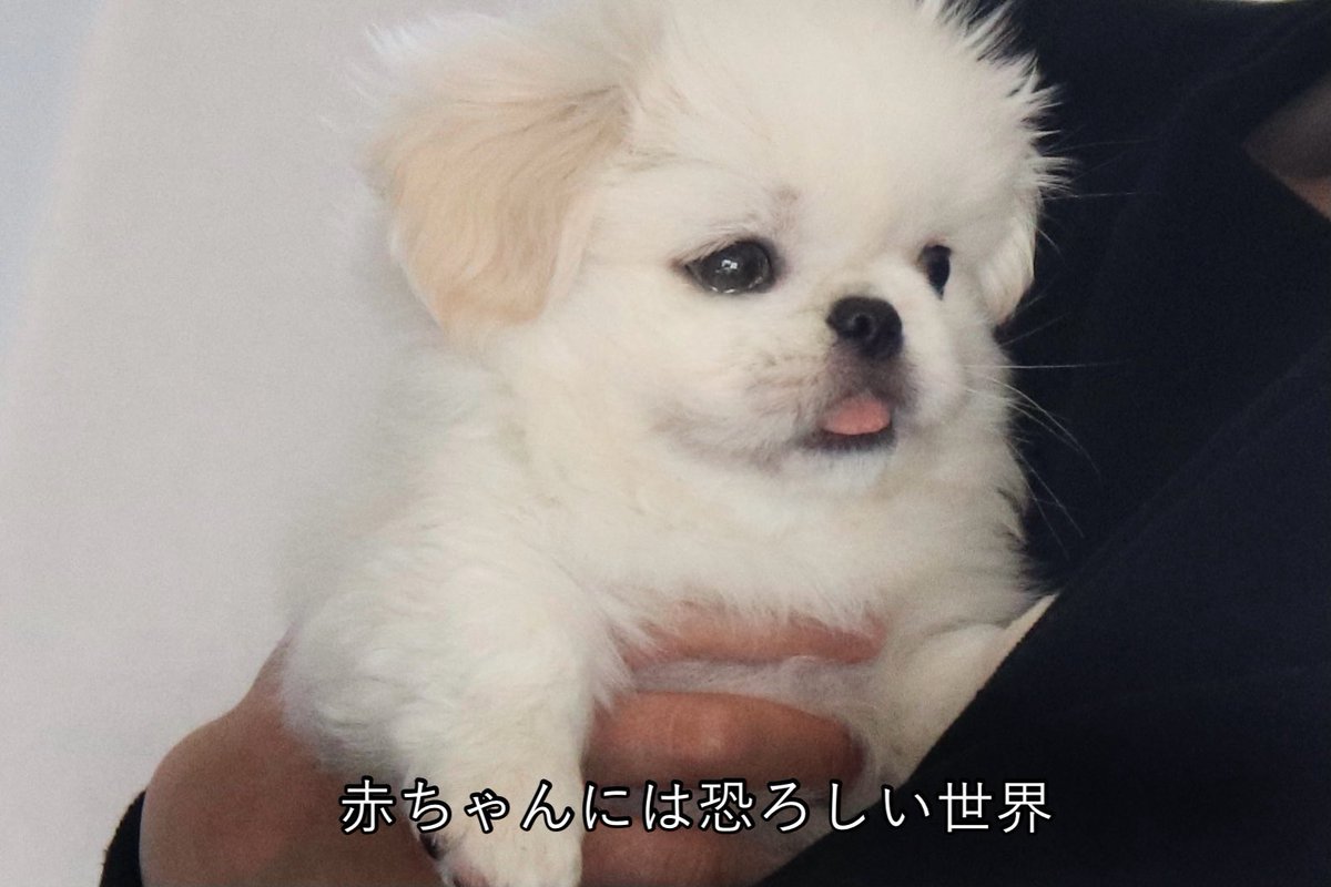 𝐿𝑂𝑉𝐸𝑌𝑂𝑈 (@the_mucho_world) on Twitter photo 