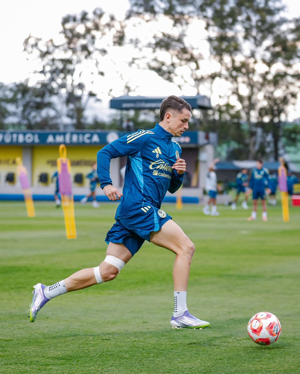 Roberto Haz tweet media