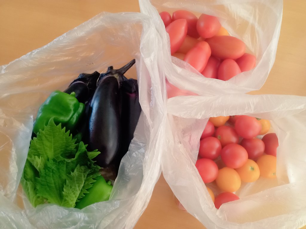 友達のお母さんから、家庭菜園で採れた野菜のお裾分け。たくさんいただきました〜😆
ドライトマトでも作ってみようかな（作ったことないけど😁）