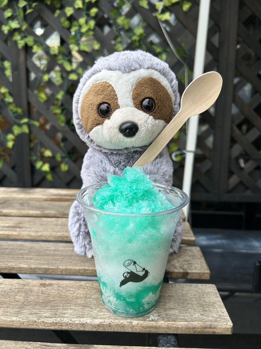 本日の営業時間は【17:30-22:30】

7/25は「＃かき氷の日」

暑い夏をかき氷で乗り切ろう🍧✨

ぜひ【RollSloth】にお越しください🦥

#下北沢はしご酒週間 #下北沢はしご酒 #ナマケモノ #RollSloth #ロールスロース #下北 #下北沢 #下北グルメ #下北ごはん #下北沢カレー #かき氷