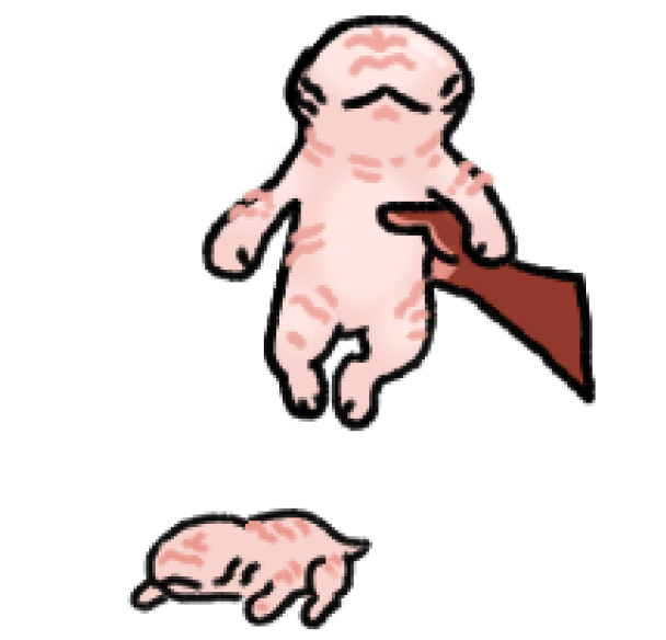 lovenovaz's tweet image. my raw chicken son who i drew a while back for a vulpimancer au thing, his name is splatongus and he weights 40 pounds
#ben10 #ben10au #ben10fanart