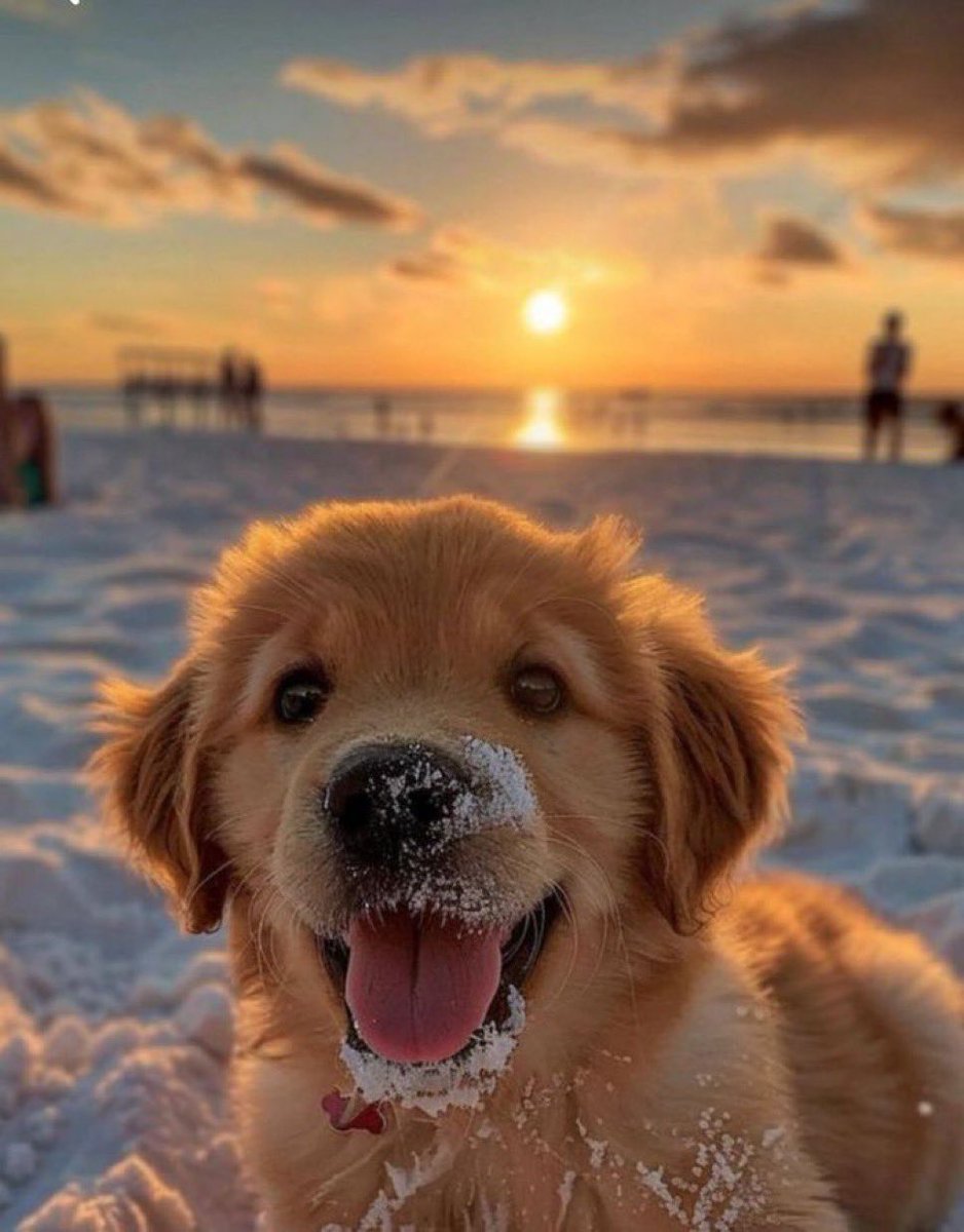 theprernaa's tweet image. Happy Friday from us to you ♥️