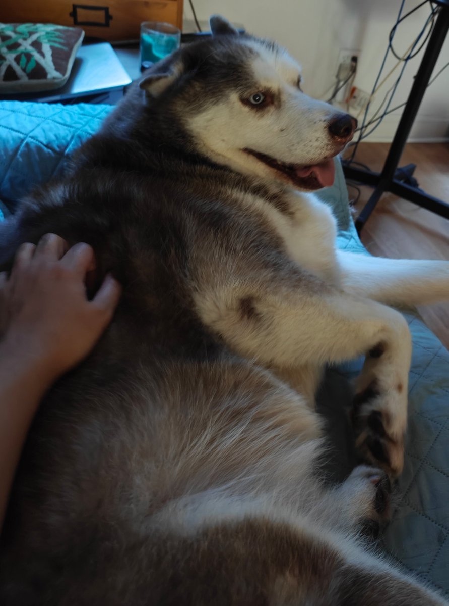 Caleb Yen - Silent Hill F(ox Mask) tweet media