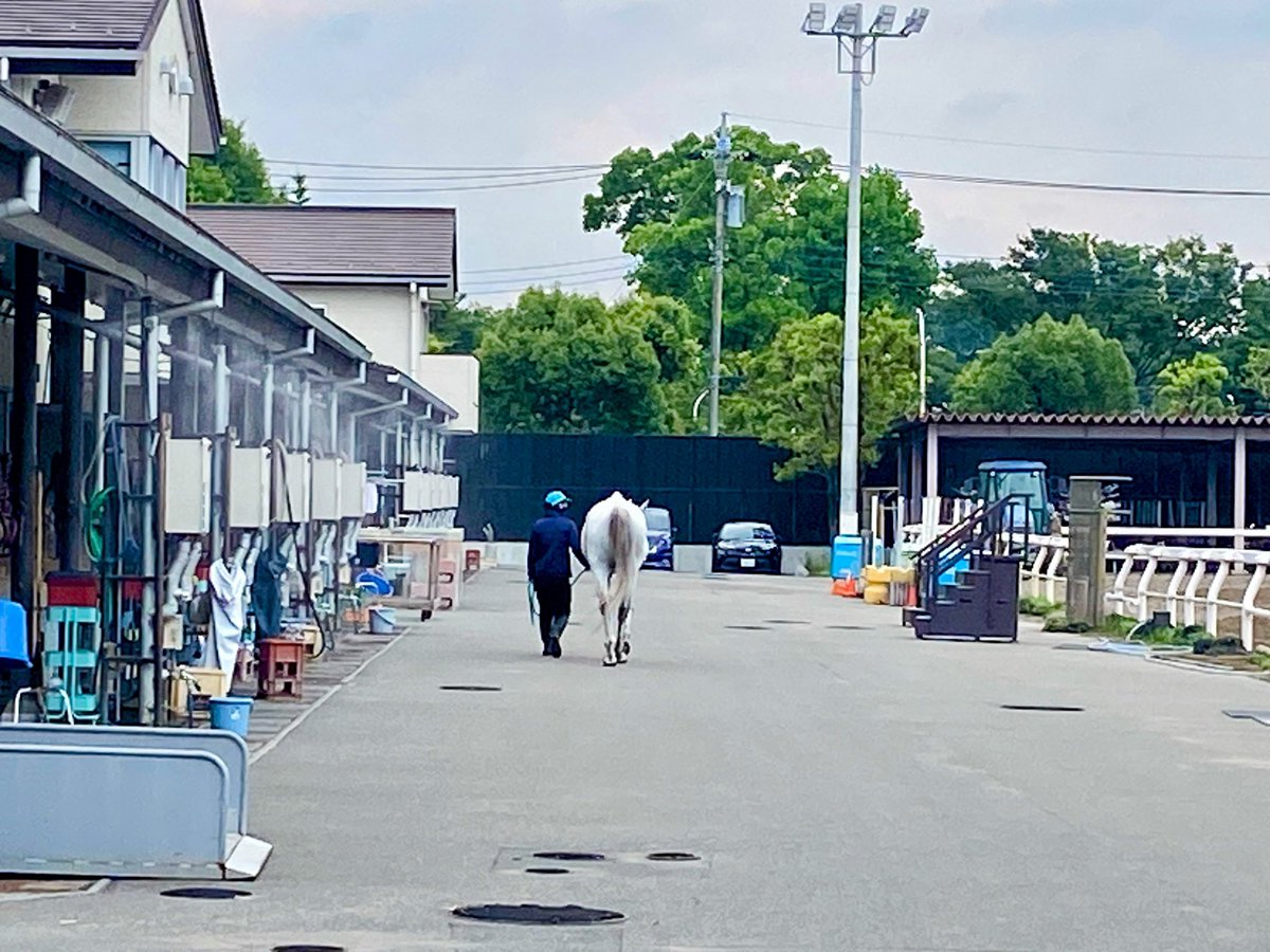 Tsm7Wk's tweet image. 平日、静かな東京競馬場🏇