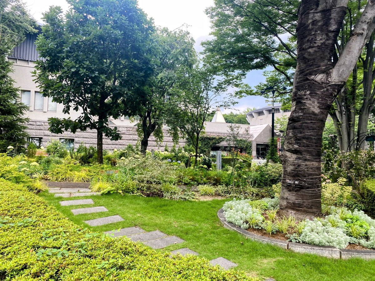 Tsm7Wk's tweet image. 平日、静かな東京競馬場🏇
