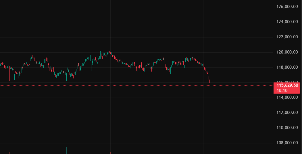 RealHODLBro's tweet photo. $BTC chart feels like my memecoins https://t.co/S2At5Qr4Gl