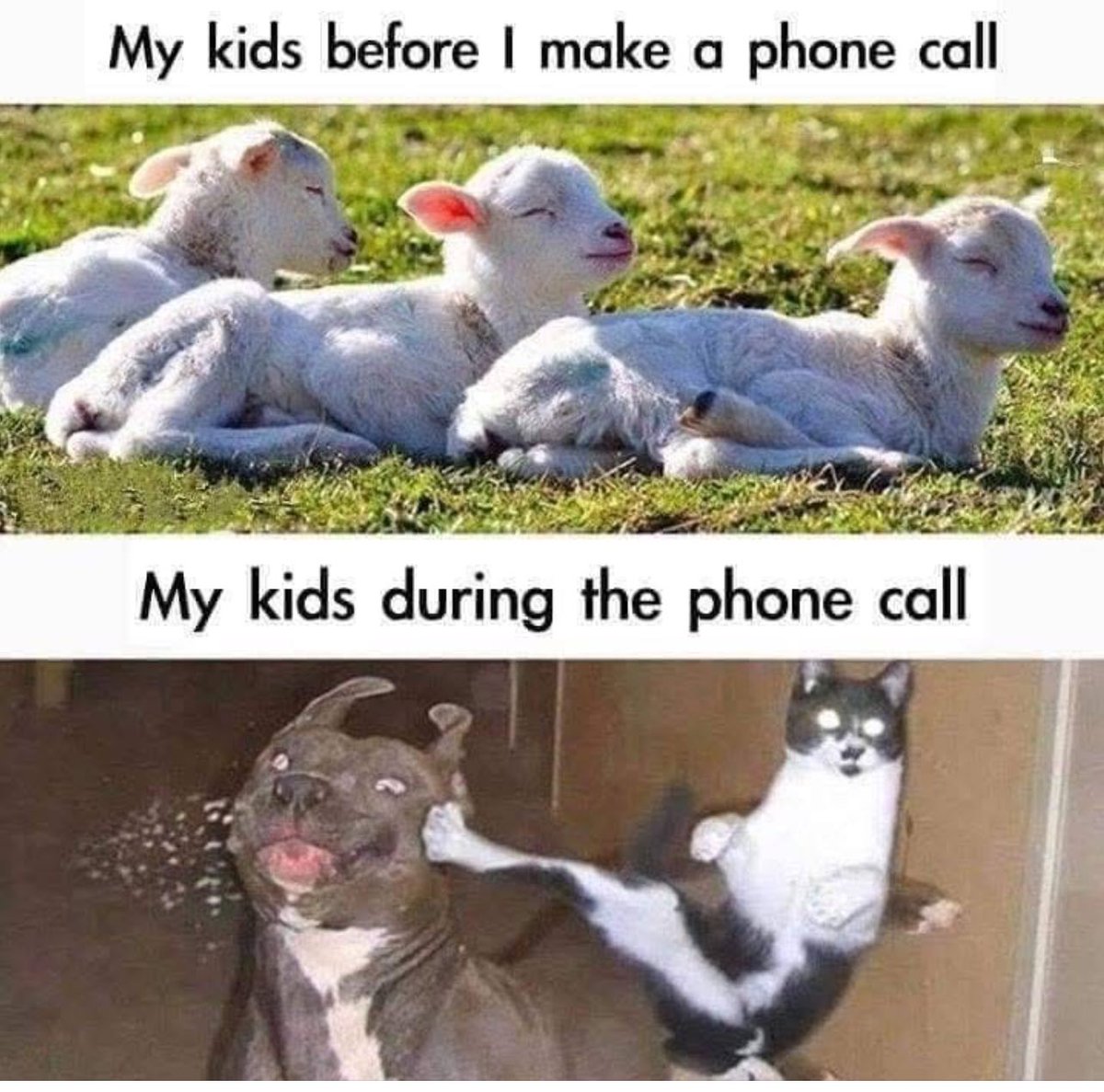 Britton65Sam's tweet image. Still as adults 😂😂😂