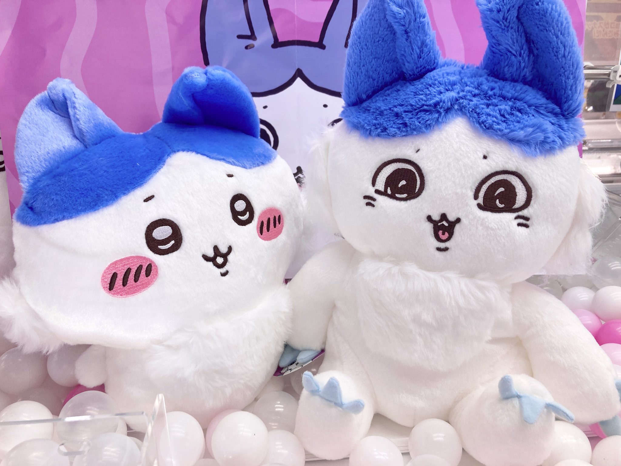 ジェネ高 BIG ぬいぐるみ バラ売り不可 ジェネ高 BIG ぬいぐるみ バラ売り不可