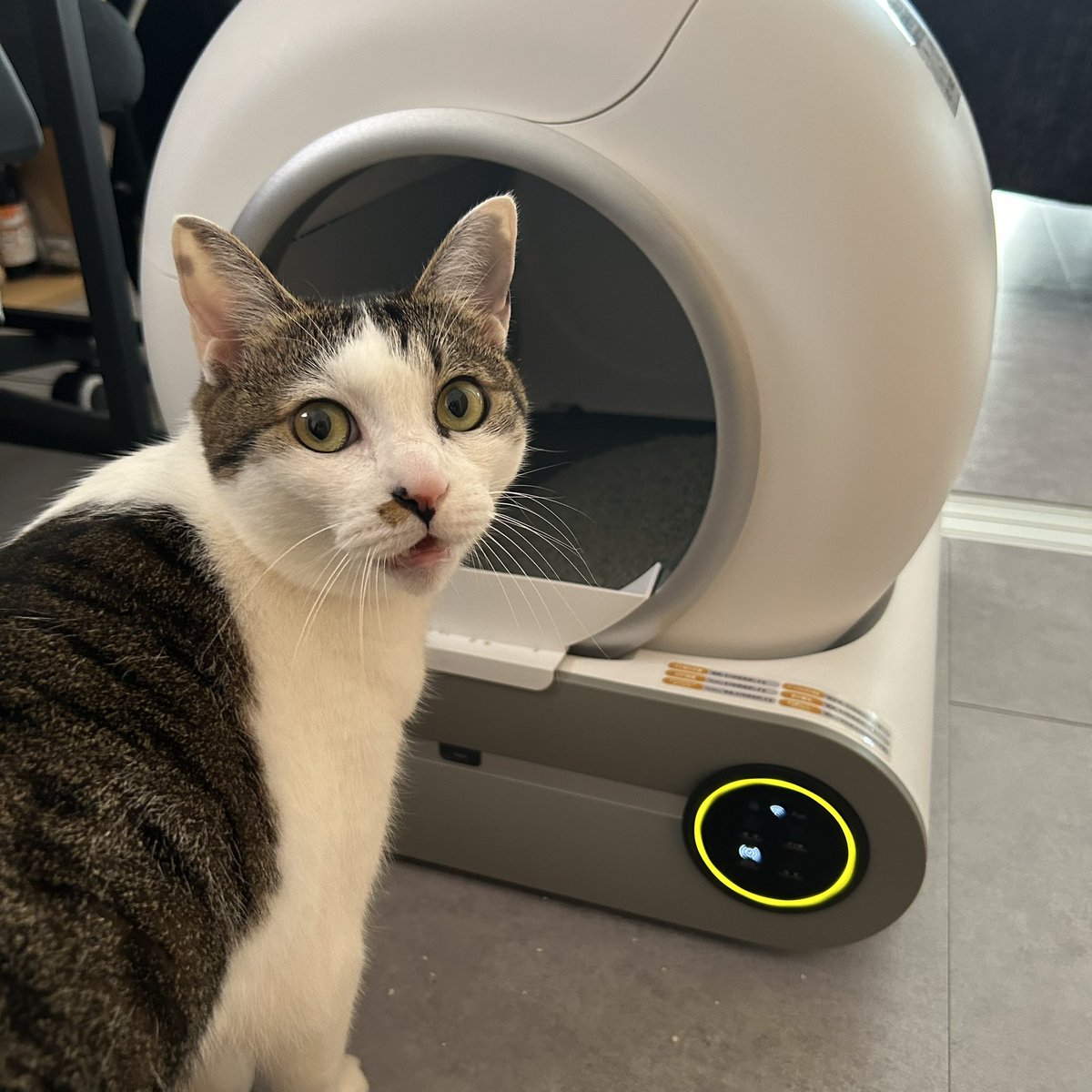 ささみ　miruto 自動猫用トイレ 使用品　2024/12購入 全自動スマートトイレ(猫用) | miruto公式