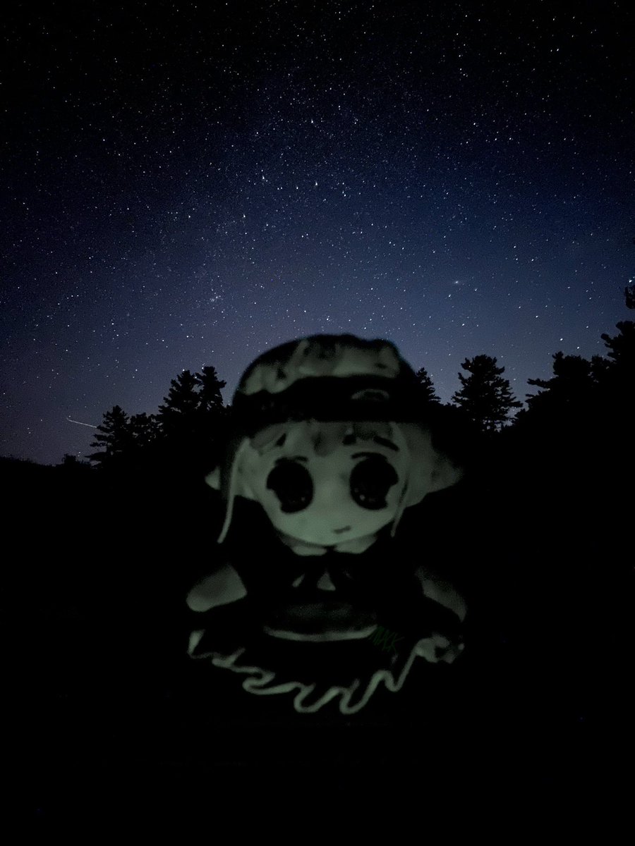 MACKxbt's tweet image. Milady doesn’t speak, she just watches