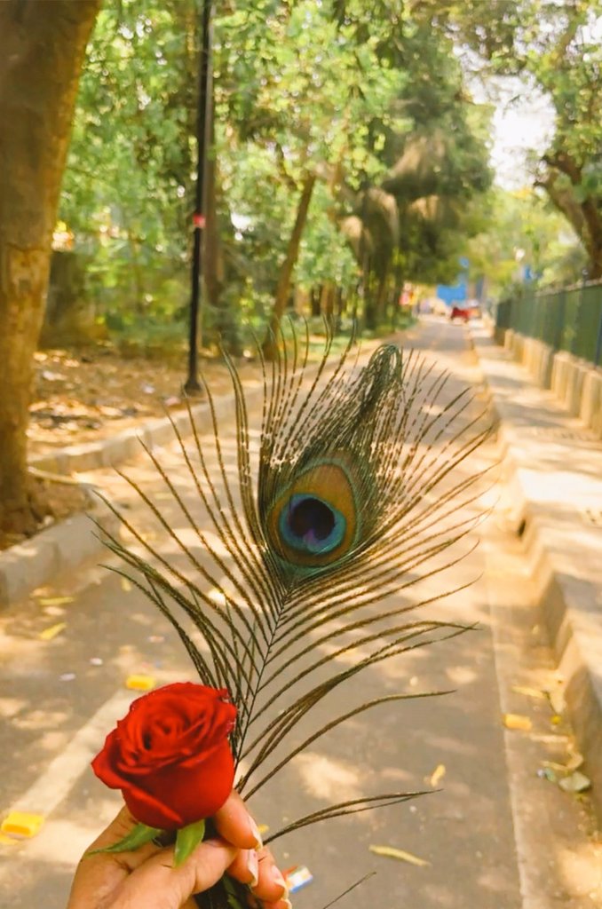 सुबह दरीचे पर,
देख ख्वाबों की 
फेहरिस्त,
ज़िम्मेदारियाँ
मासूमियत पर
मुस्कुरा जाती हैं...

जिम्मेदारियां
ख्वाबों को
खा जाती हैं...🖤