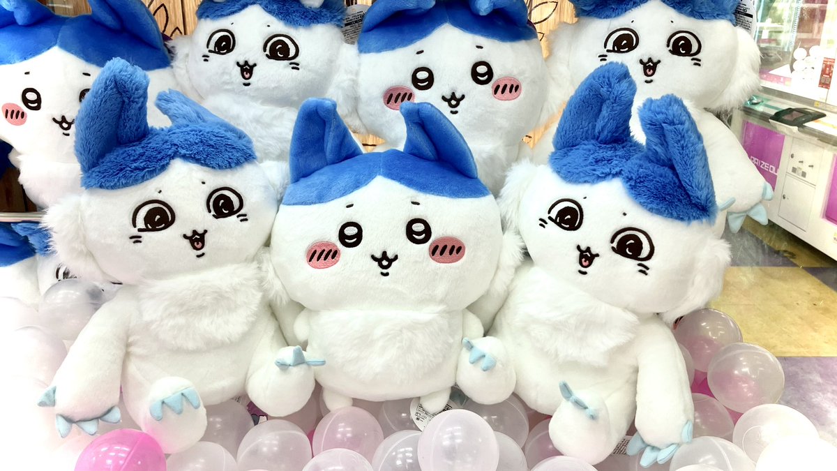 ぬいぐるみ (バラ売り可) タイステ衣山店 on X: