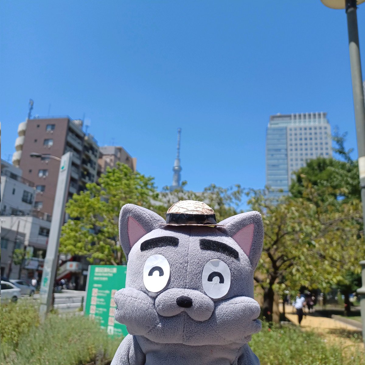 pier21_web's tweet image. (分かりづらいけどスカイツリーが見えます)