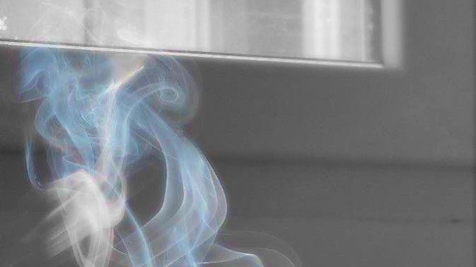 －  ︎︎翠  ︎︎－ tweet media