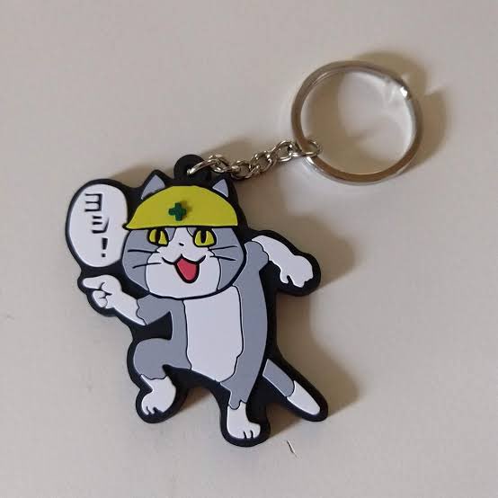 cfhhdcj's tweet image. ピッチによりによって現場猫つけてるドクター居たんだが