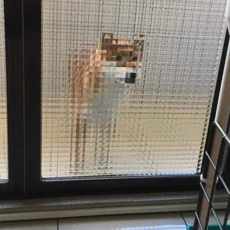 quantization-aware doge