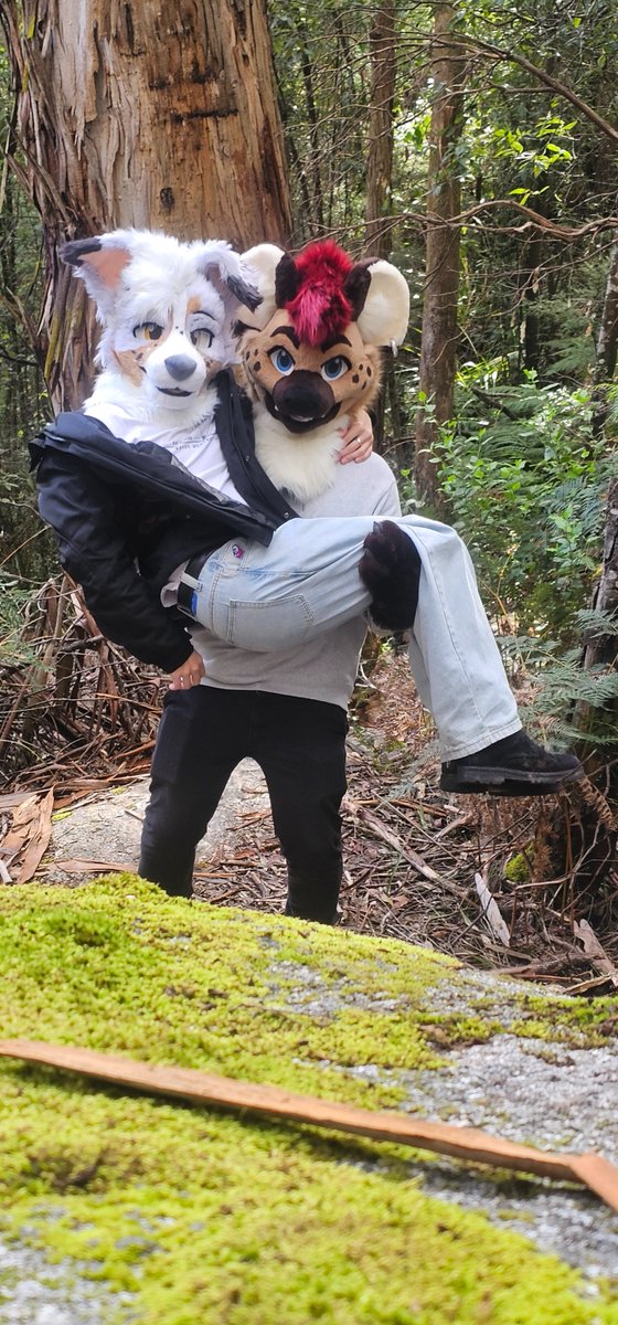 Helios @FurDU2025 (@helioshyena) on Twitter photo The dogs in the forest are free... you can just take them!
๐ถ<a href="/VirBarks/">VIR</a>
๐งต<a href="/StudioPinali/">Studio Pinali</a> & <a href="/Autumn_Station_/">Autumn Station</a>
๐ธ<a href="/ApexJackal/">Apex</a> The dogs in the forest are free... you can just take them!
๐ถ<a href="/VirBarks/">VIR</a>
๐งต<a href="/StudioPinali/">Studio Pinali</a> & <a href="/Autumn_Station_/">Autumn Station</a>
๐ธ<a href="/ApexJackal/">Apex</a>