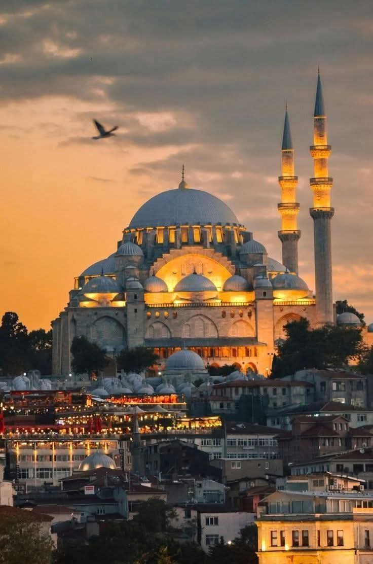 Sfran_34's tweet image. Bol ihsan ve ikram sahibi olan Allah’ın selamıyla,
Vakt-i şerif Cuma, 
ahir ve akıbet hayrola..!
Cumanın hayrı ve bereketi üzerinize olsun.. 🤲
Hayırlı sabahlar.. 🌿☕