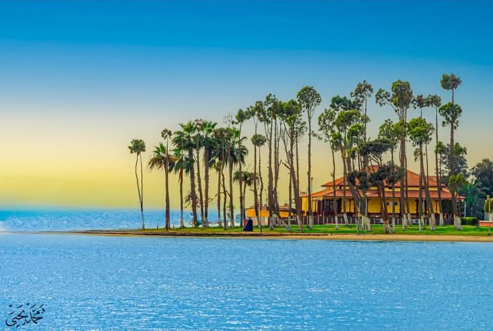 صباحكم مصري