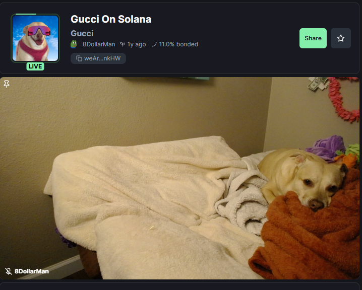 GucciOnSolana's tweet photo. @cottonxbt i just sleep on my life don't think just click https://t.co/qbRwLtIEPQ