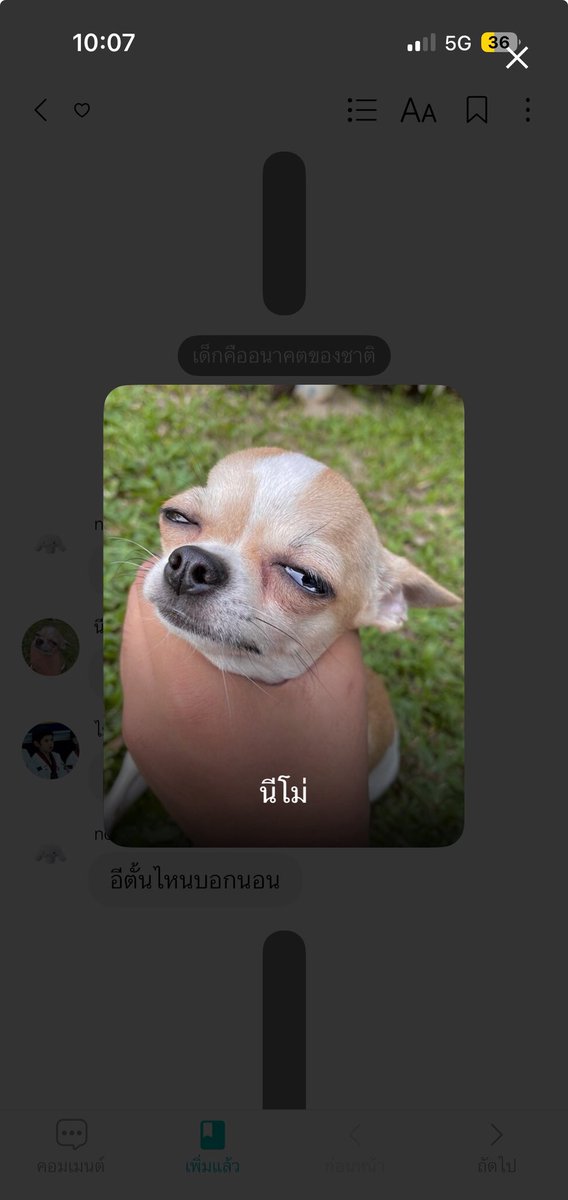 ChihuahuaheemaRabert 🦴 tweet media