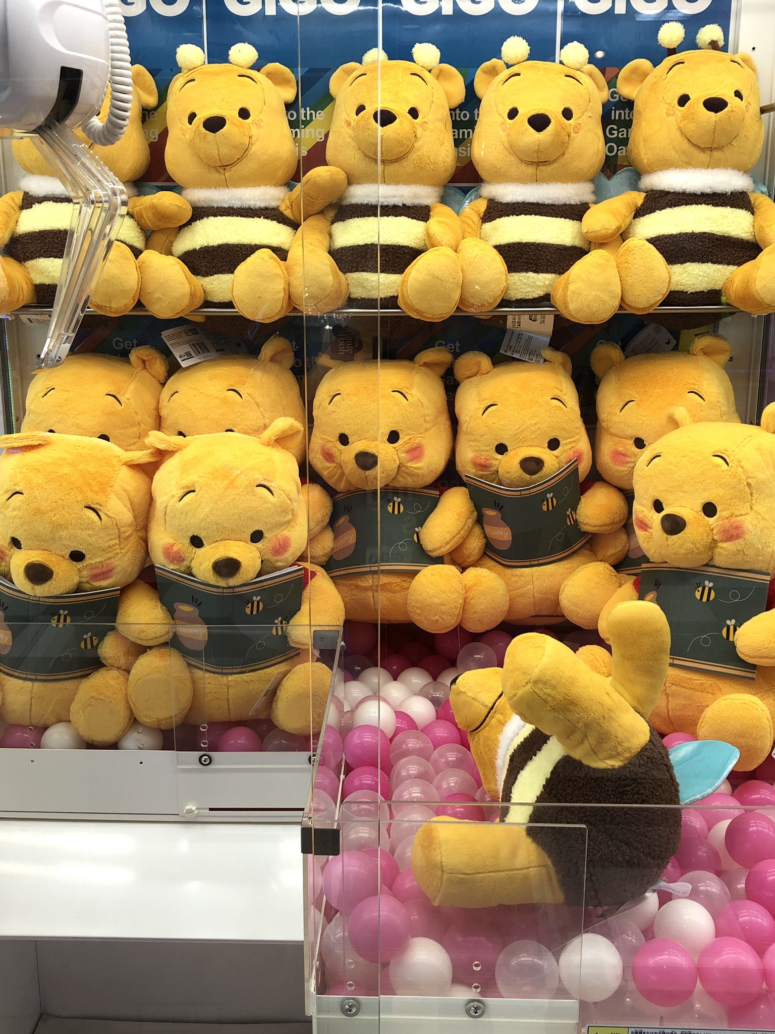 みいさん！ページ　ラット33匹ヤワゲ10匹オマケ付き 活ヤワゲネズミ - Search / X