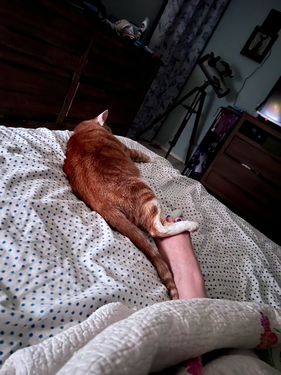 ohjazzyjazzy's tweet image. I’m not in love…
So don’t forget it.
It’s just a silly phase I’m going through.
And just bc I touch my feet to ur feet,
That doesn’t mean you mean that much to me.