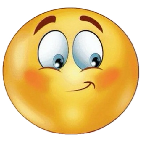 ryoshi 🧽 tweet media