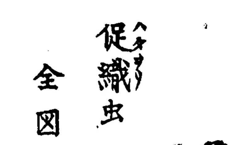 Spook_Liavex's tweet image. 『国字の字典』の「⿰糸足(はた)」とかどう考えても「促織虫(はたおりむし)」の逆行同化現象だと思うんだ。譬喩尽以外に用例あるんかな。