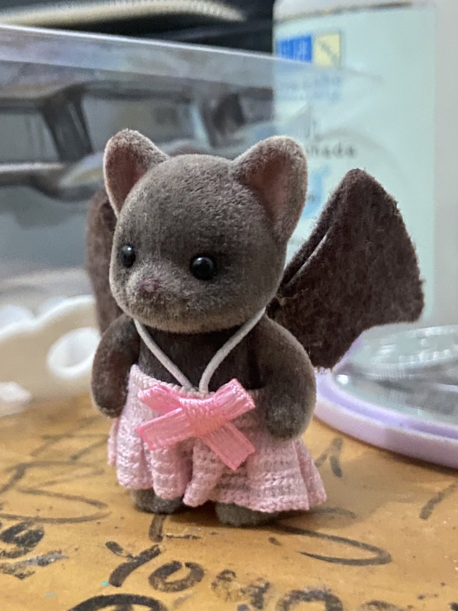 𐙚 | DM ISN’T WORKING tweet media