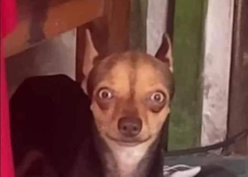 -¿Estás de post?
-Yo, por?