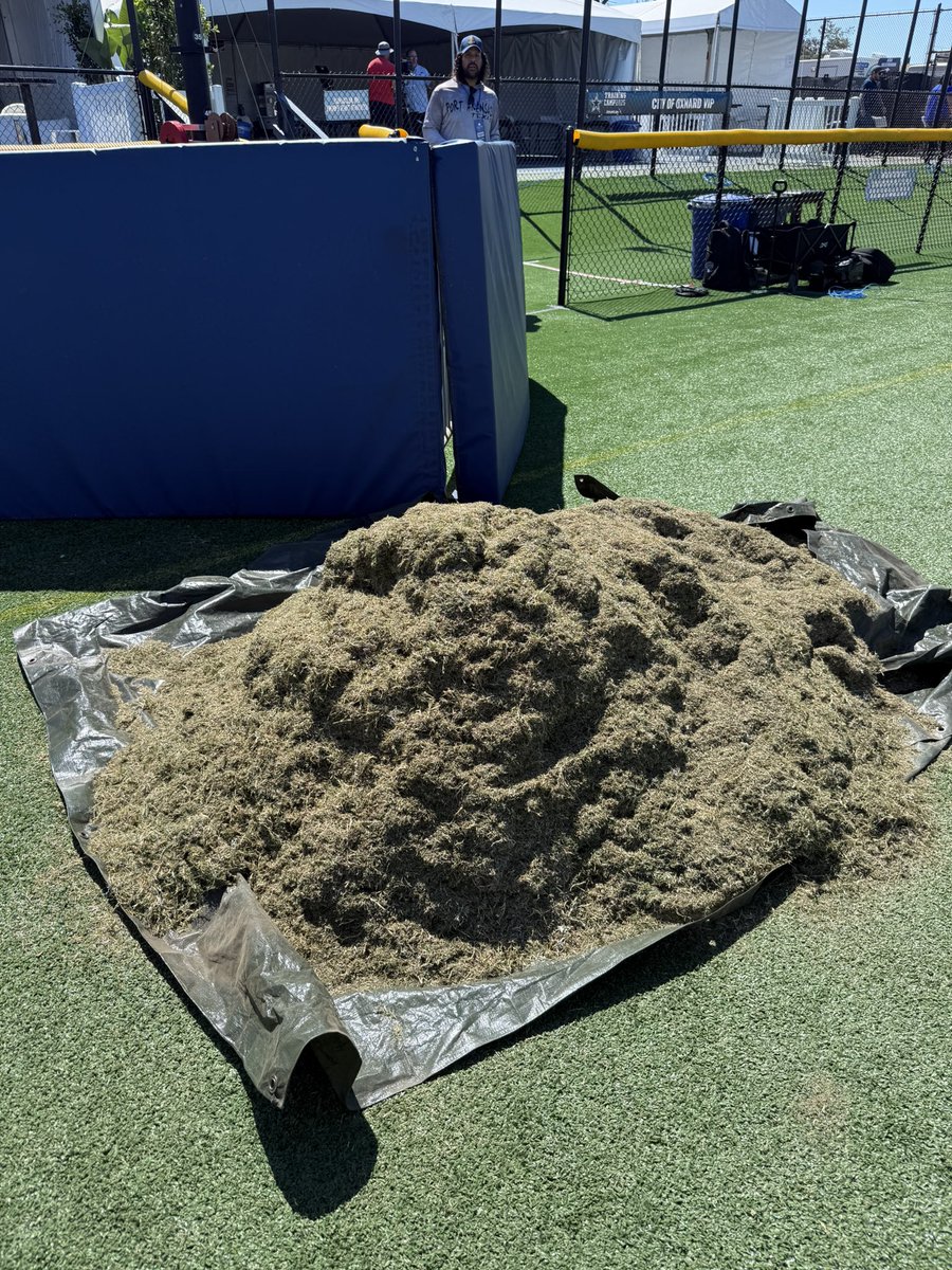 ANDRE AMARAL tweet media