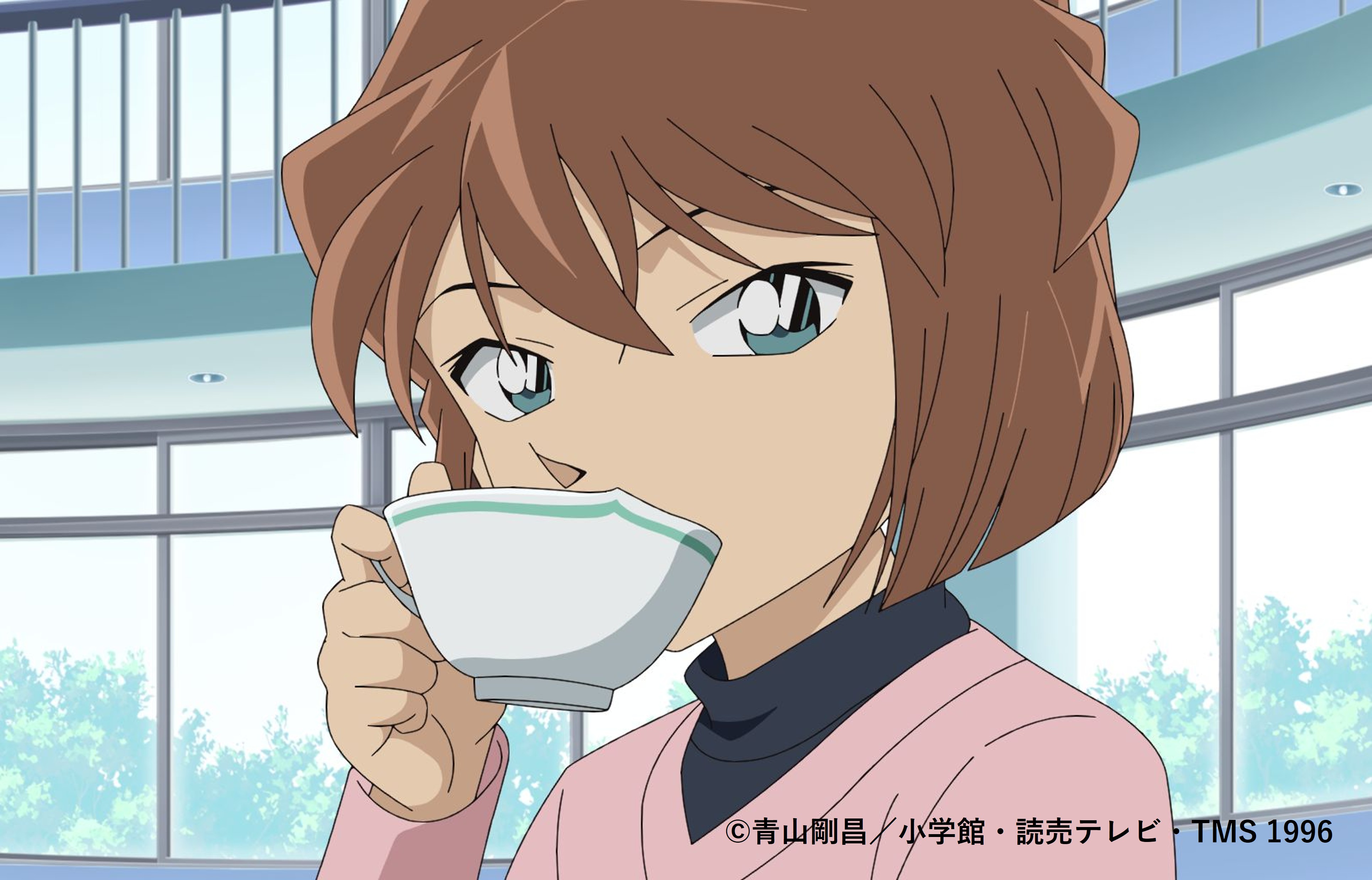 名探偵コナン 漫画 青山剛昌 名探偵コナン 第01-96巻 劇場版 名探偵コナン
