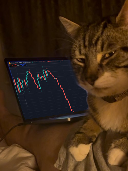 not this again