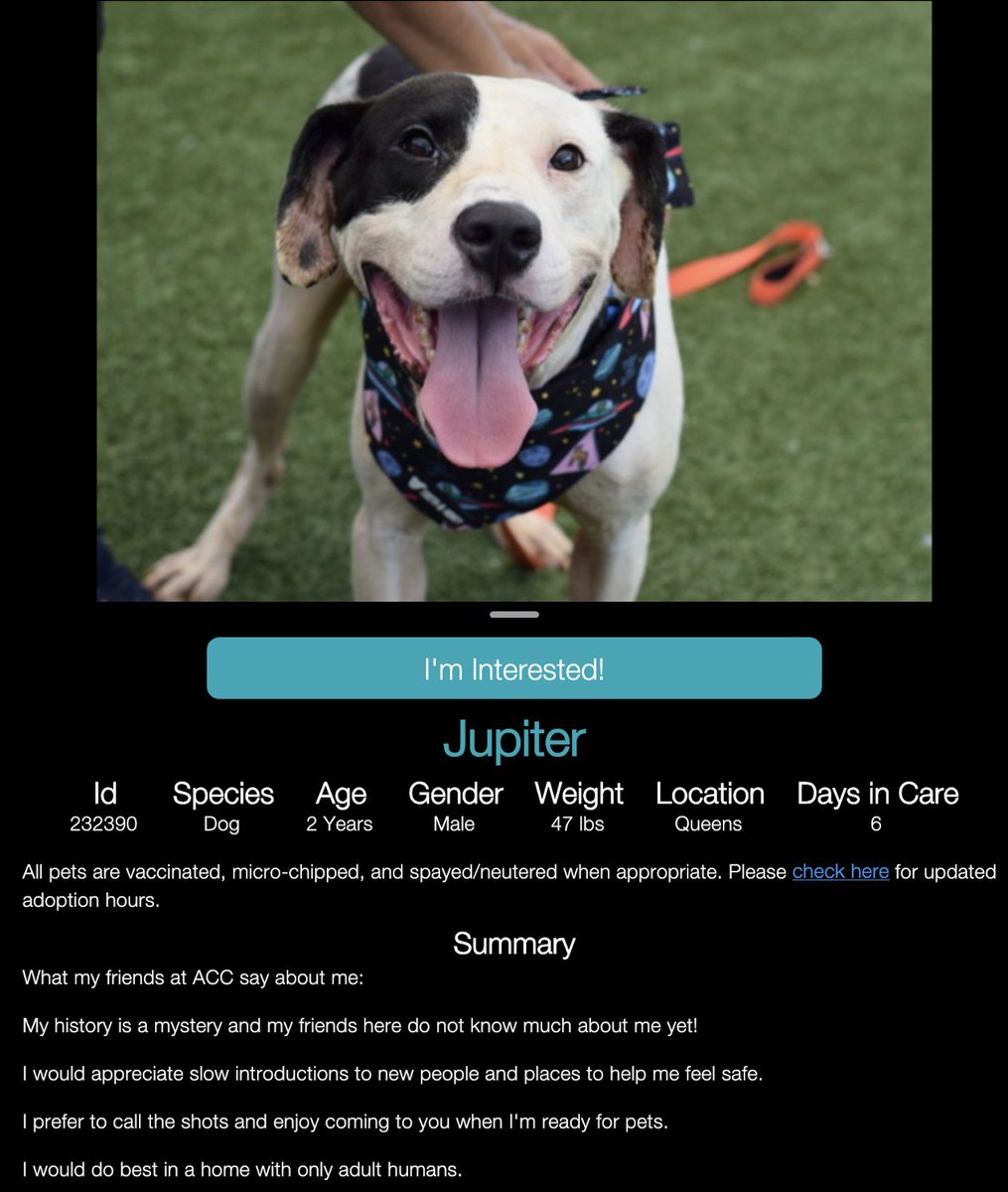 CharBolen's tweet image. JUPITER 🩵 #232390 2yr old Boy 🩵 NYCACC
He's very beautiful and adorable 🥰 He needs
out of this kill shelter into a loving forever home!!
If you're looking to adopt he desperately needs
a good home 🏡 Waiting in Queens ACC!!
#Adopt #Foster
#Pledge4Rescue
#AdoptDontShop 🏡