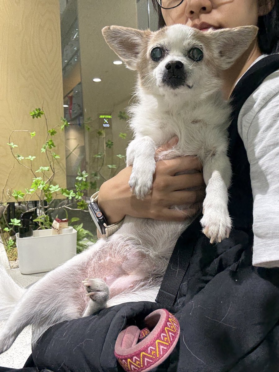 내 소중한 민생지원금.. 얘가 오늘 한방에 다 썼어요..