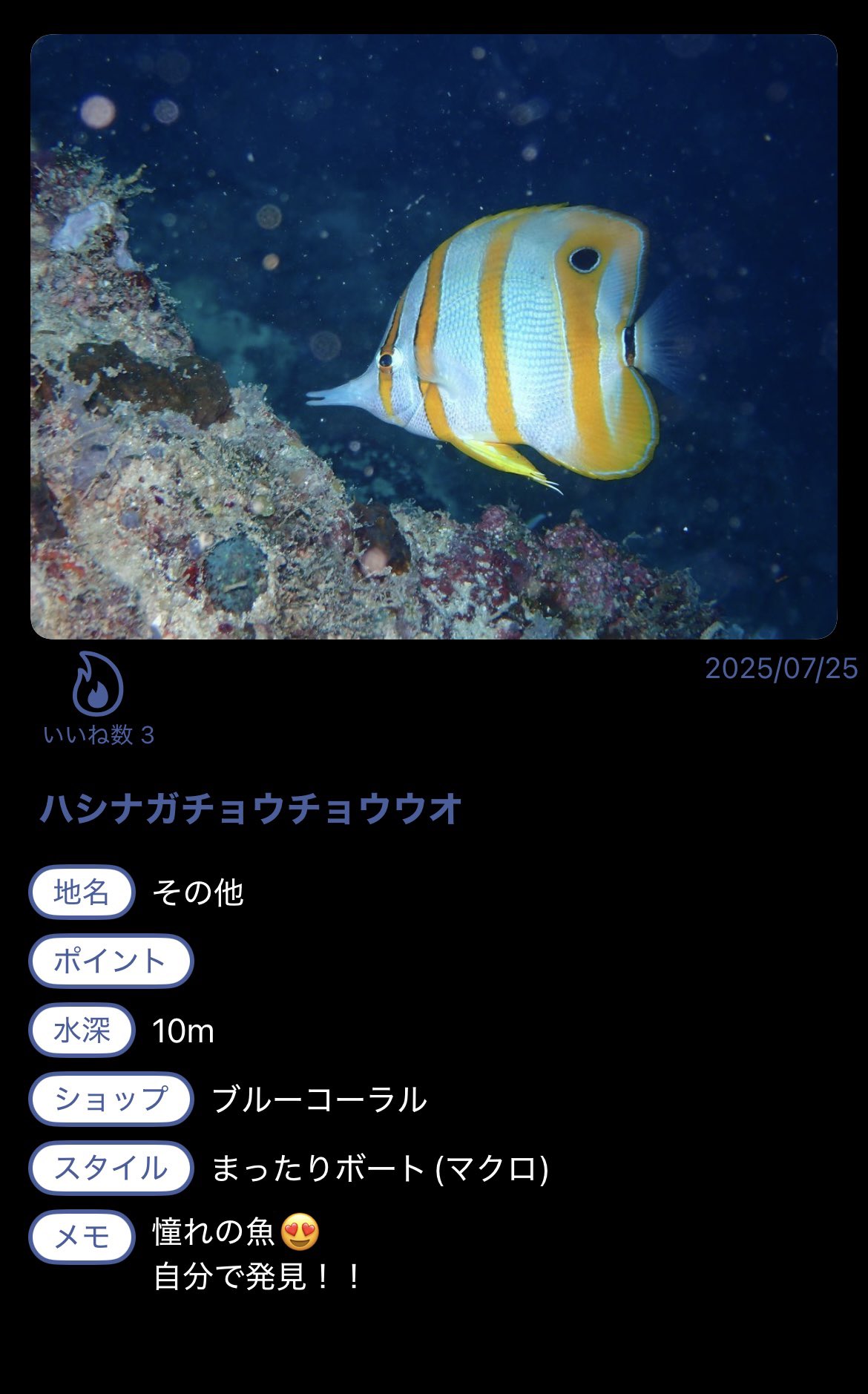 ★★★★★編集中★★★★★ゾウと一緒にダイビング！29箇所ご紹介 Diving Partner on X: 